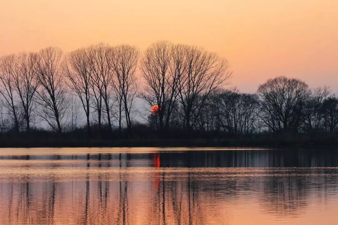 诗词中难读的20个字,诗词中令人惊艳的短句