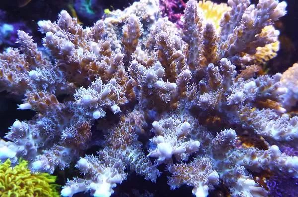 这是人家十年前的缸？我这些年瞎玩了……