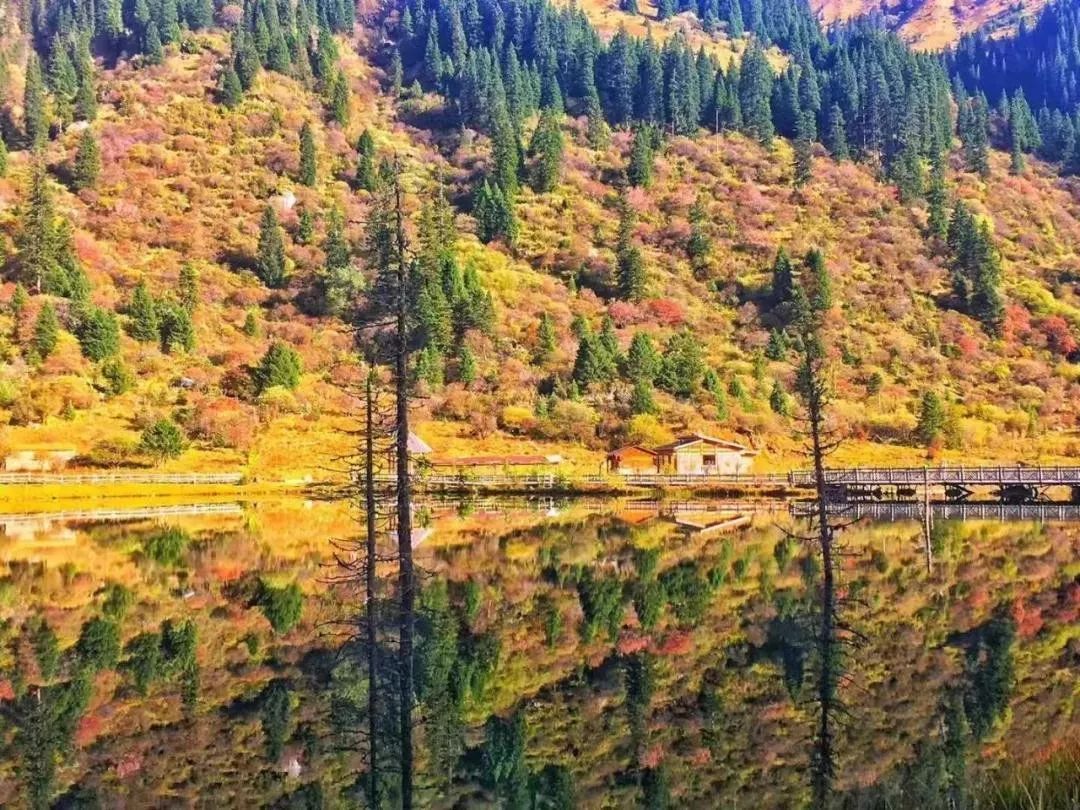 最美川西看彩林推荐地,美哭了这才是虹口秋天最美的地方