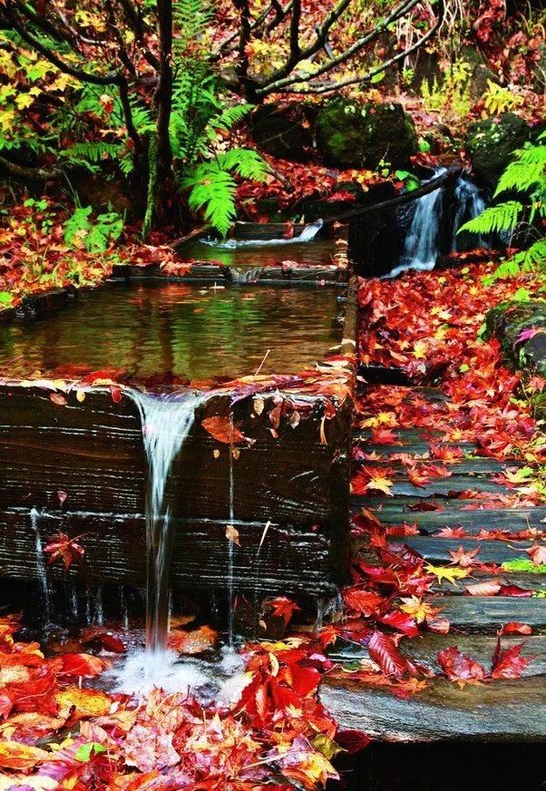 自驾游12个人住民宿,住200左右民宿3天1500左右