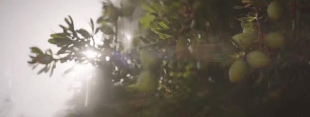 一件顶十件的保暖外套,时尚洋气保暖羊绒衫