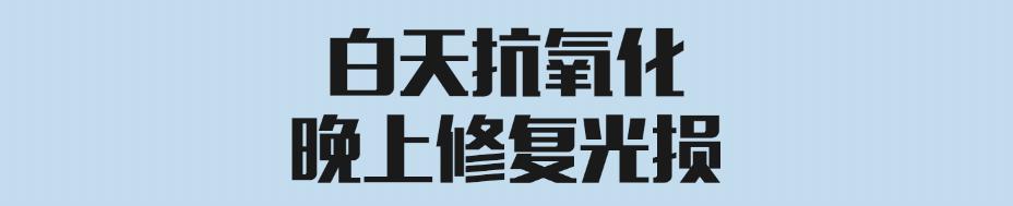 戏精夫妇免费观看,戏精夫妇撒糖电视剧