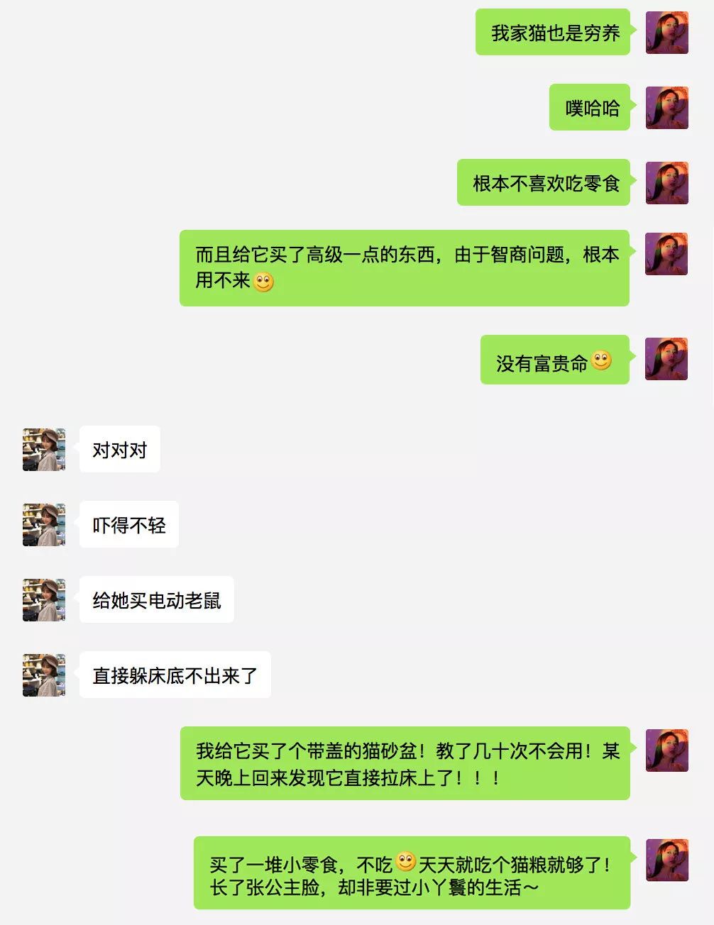 宠物大比拼螃蟹,宠物种类大比拼