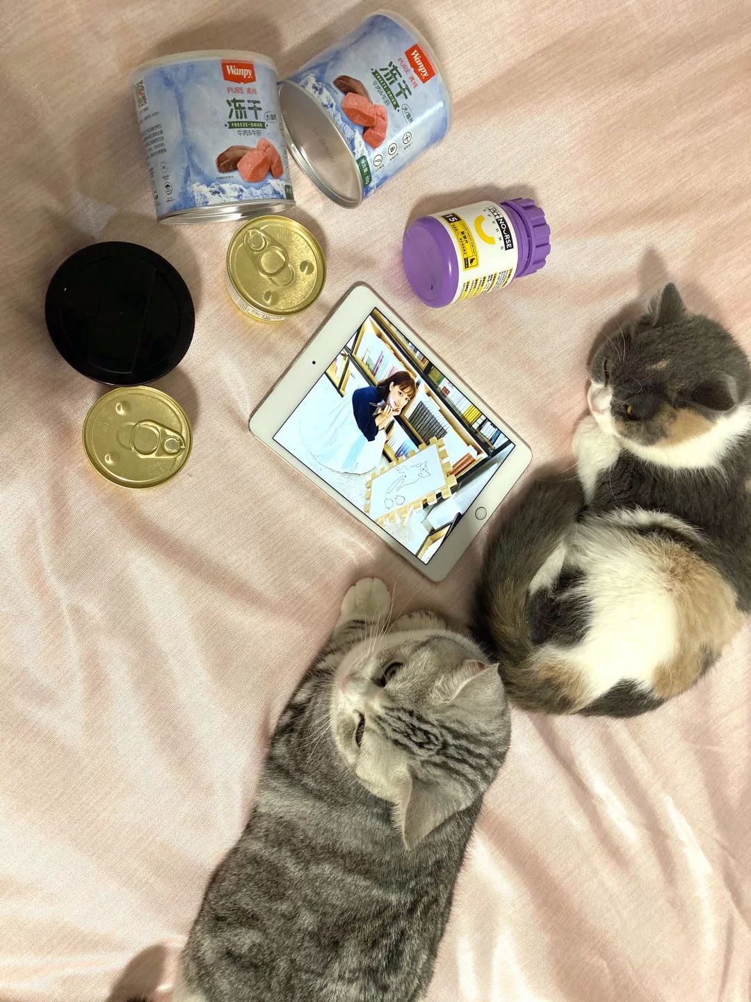 宠物大比拼螃蟹,宠物种类大比拼