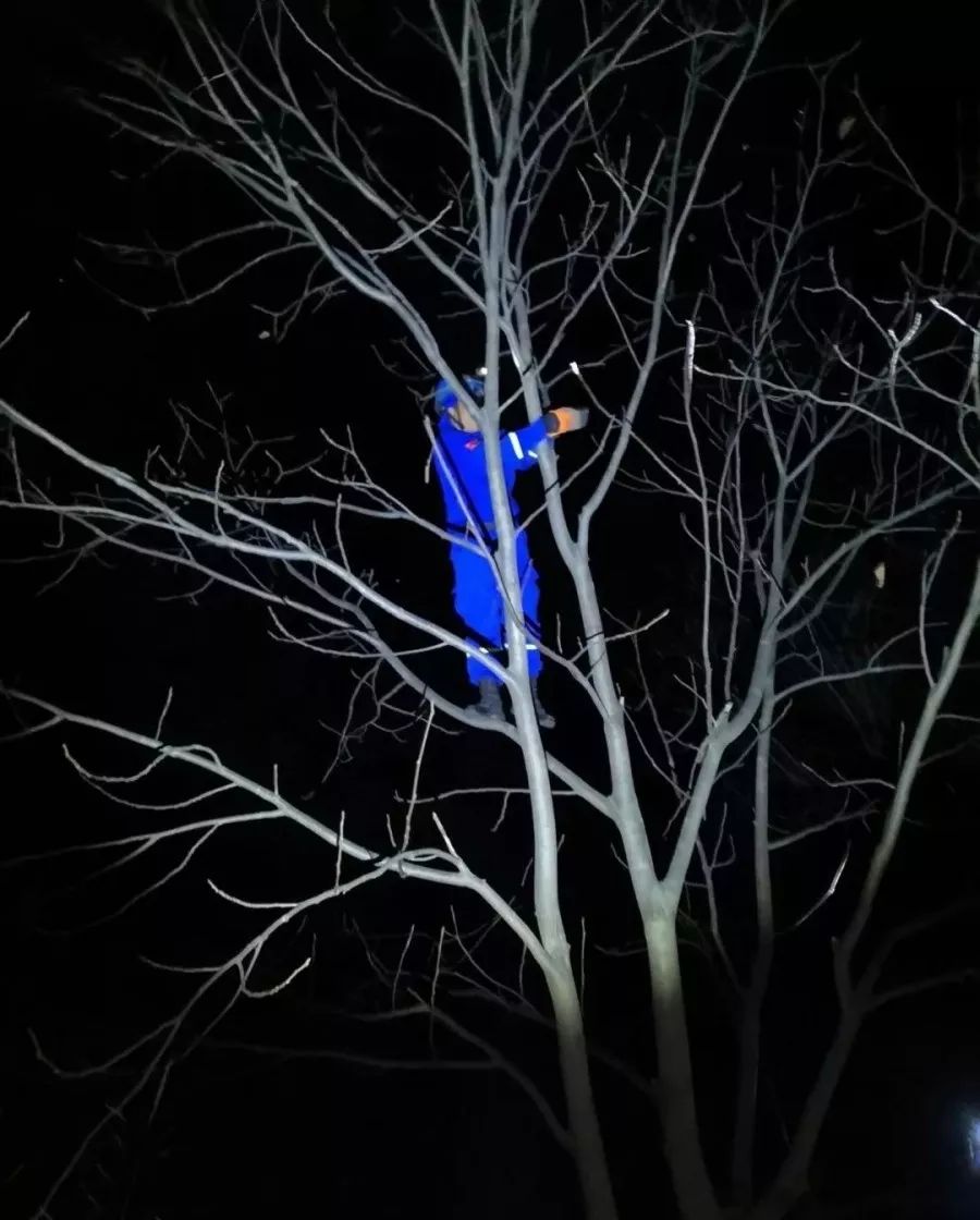 历时12小时3分钟，九眼楼跨夜大救援！！！