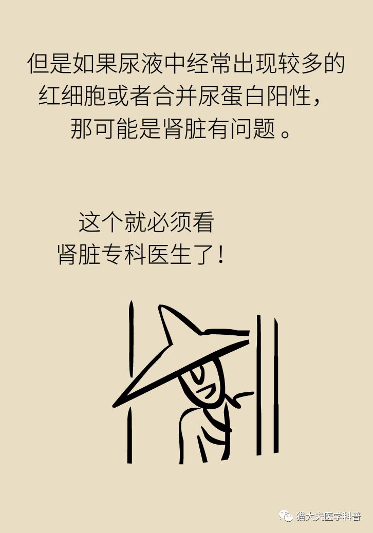 肾虚健康常识,医生科普肾虚