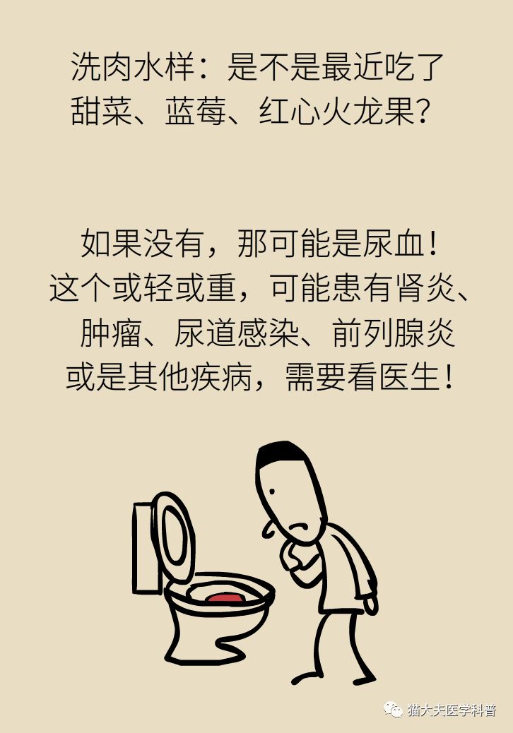 肾虚健康常识,医生科普肾虚