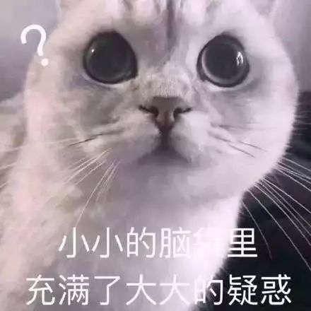 无糖低脂饱腹饼干,哪种饼干热量低饱腹感强测评