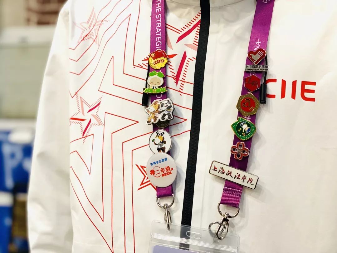 进博会小叶子上海理工大学,进博会中的小叶子