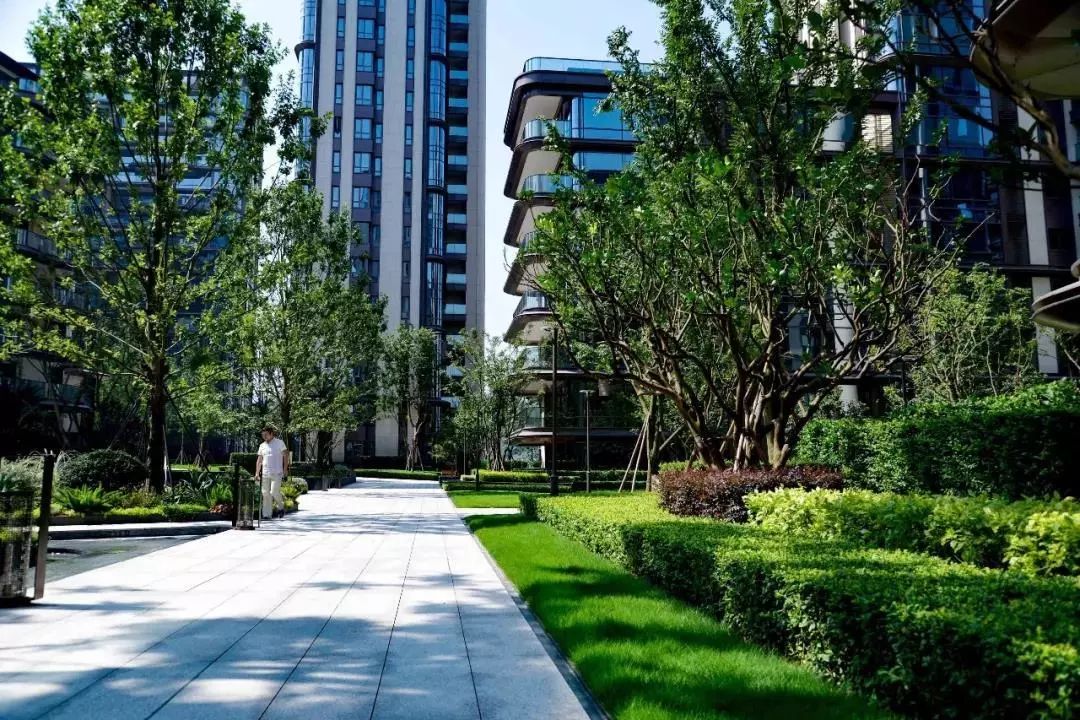 龙湖舜山府背后的故事,2024年重庆龙湖舜山府