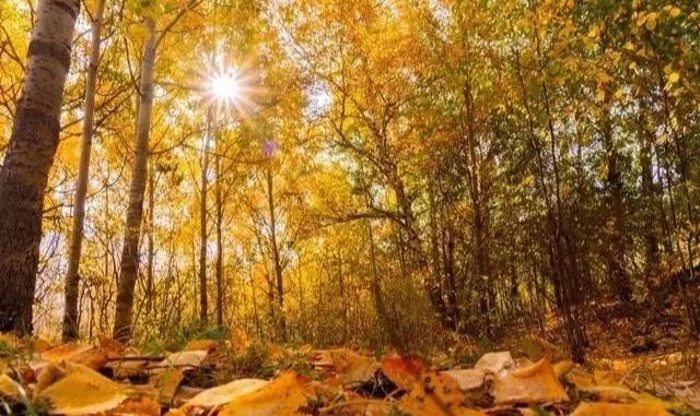 小众旅游地湖北美食多,湖北旅游美食攻略