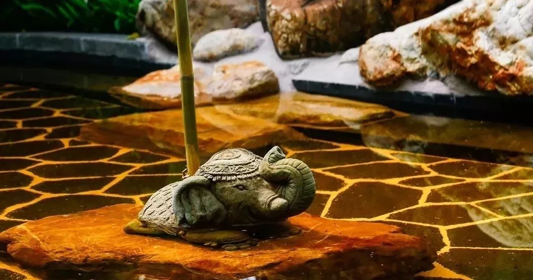 鹭湖半山汤谷温泉团购,鹭湖半山温泉收费标准