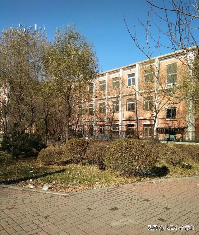 吉林电子信息工作技术学院事件,吉林电子信息工作技术学院官网