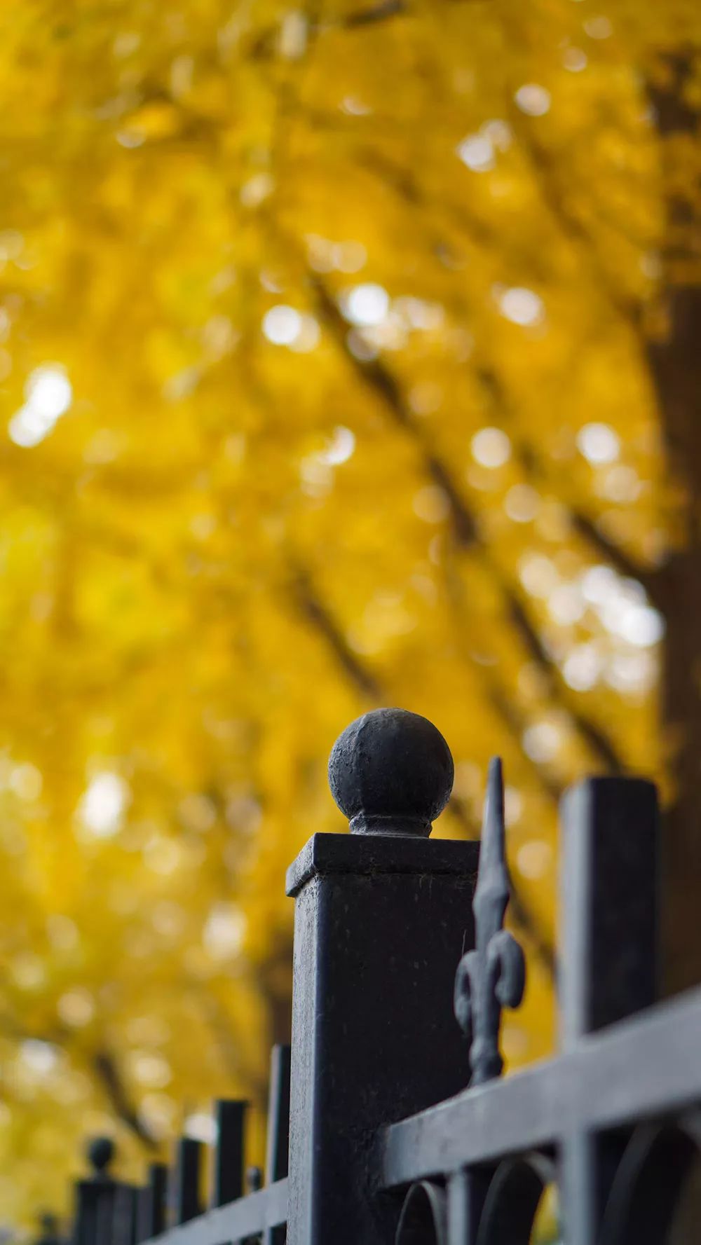 索尼alpha6100l测评,索尼新品相机阿尔法6100