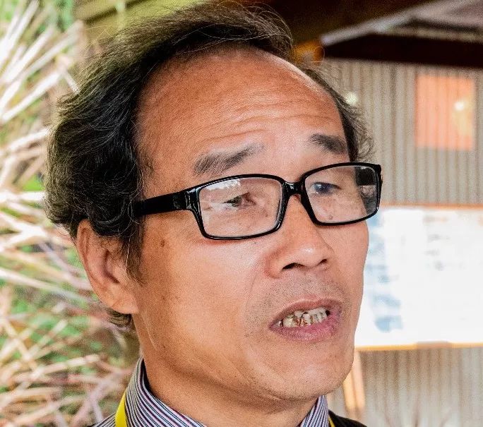 三角梅漳州培育基地,福建漳州三角梅产业