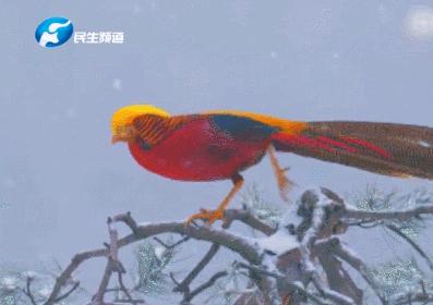 联播pro：转账代买都可以外卖跑腿平台向未成年人售香烟成常态