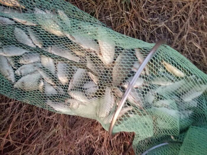 野钓装备大全,野钓装备有哪些