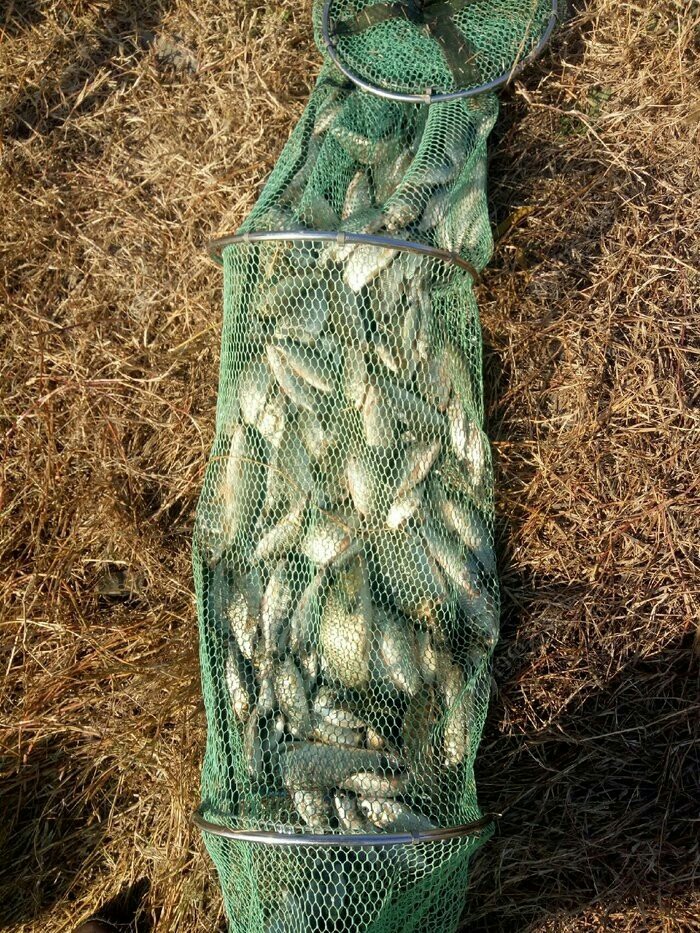 野钓装备大全,野钓装备有哪些