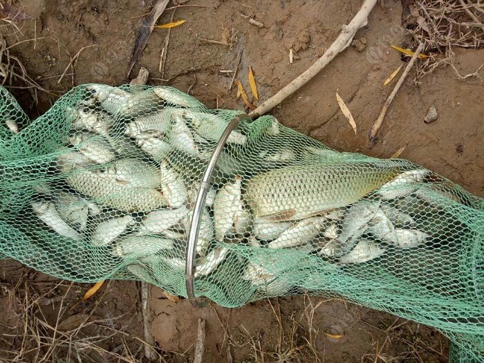 野钓装备大全,野钓装备有哪些