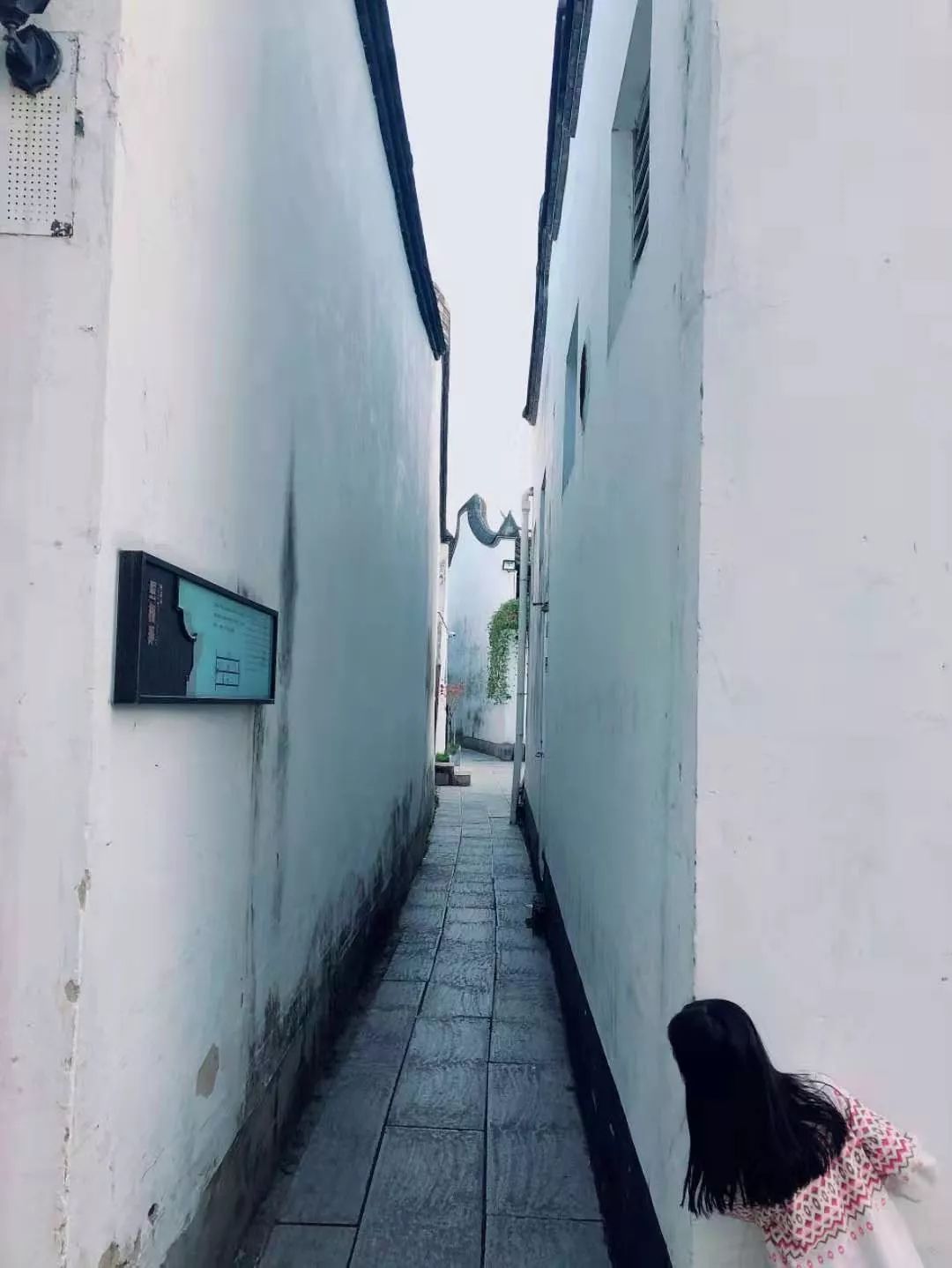 卷毛佟零基础手机摄影课百度网盘,卷毛佟手机摄影大赛作品