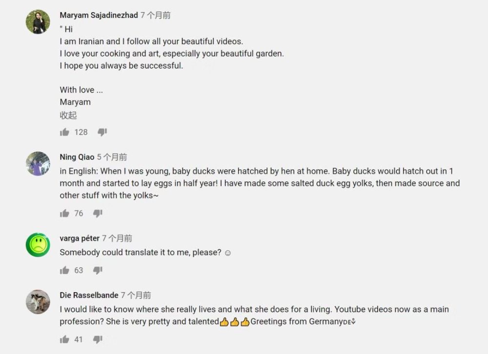 央视评李子柒走红的原因,李子柒被赞视频