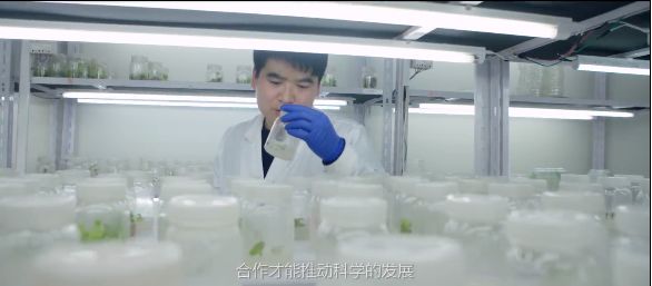 这座岛究竟有何神奇之处,科学岛核聚变工地