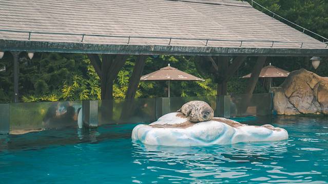 长隆海洋王国海牛馆探秘,珠海长隆海洋王国海底夜宿