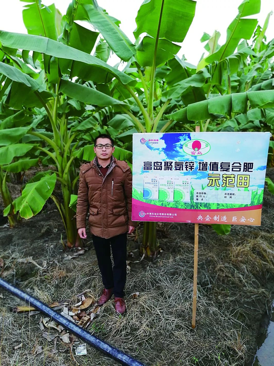 热门夏粮丰收品种升级作用凸显,热门农业高质量发展