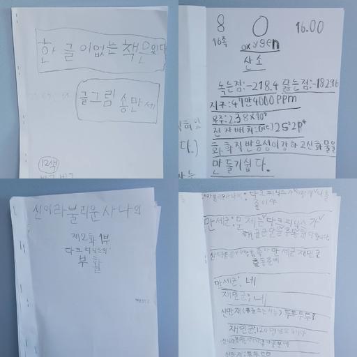 宋民国变帅,宋民国长大了的样子