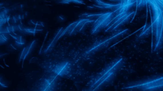 这些名流明星办的派对，也太惊人了吧