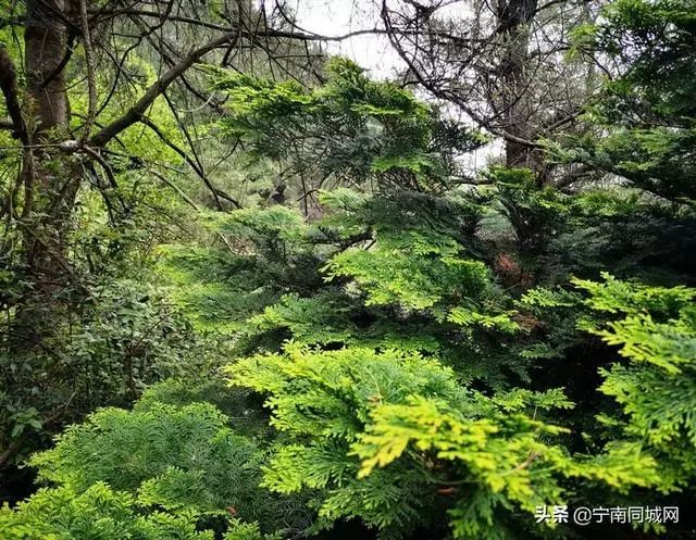 宁南，一座自然景观绽放的魅力小城