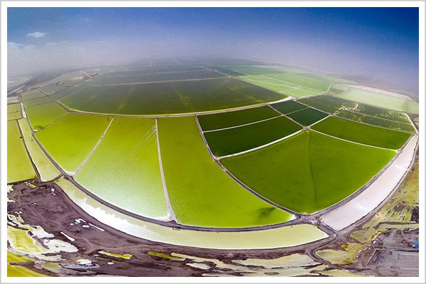 a股亏损排行榜,a股亏损最惨的季报