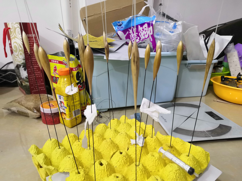 初入黑坑选择大漂小漂,d漂新手入门教程