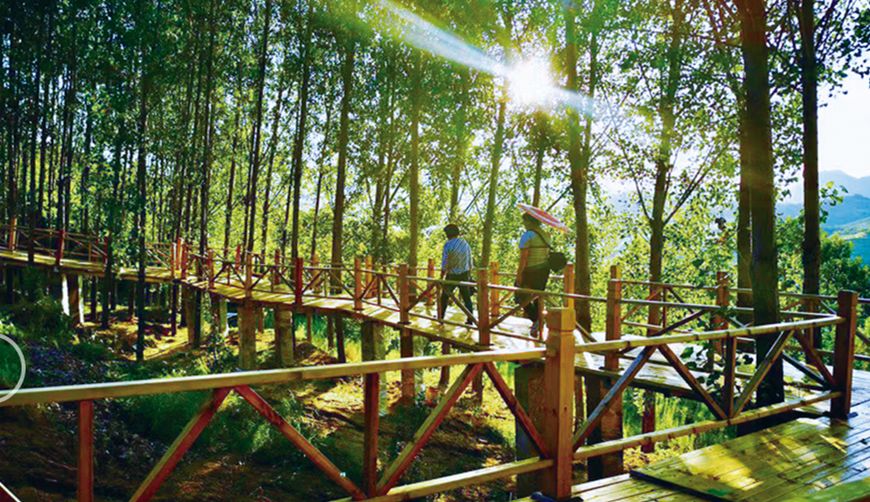 七天免费日本游,日本特惠旅游2月