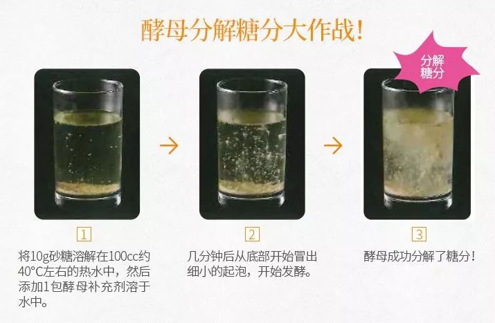 每逢春节胖三斤下一句是什么,每逢春节胖三斤这样吃想不瘦都难