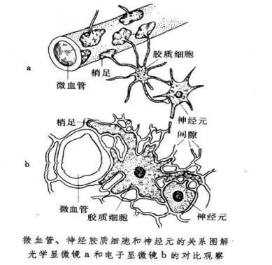 水产养殖纳米银在什么时候才能用,纳米银在水产上作用