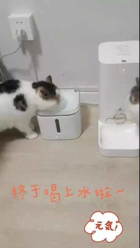叮咚、美团、饿了么6日开始停止营业？最新回应来了