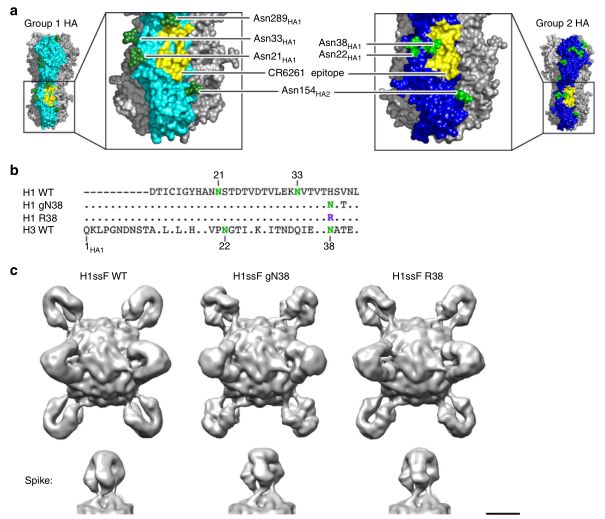 复旦大学徐彦辉Science；刘庄，蒋伟，毛辉，吴松，廖永红等成果速递丨BioDaily20200211