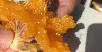 一咬汁水四溢鲜香满口,一咬爆汁像葡萄的水果