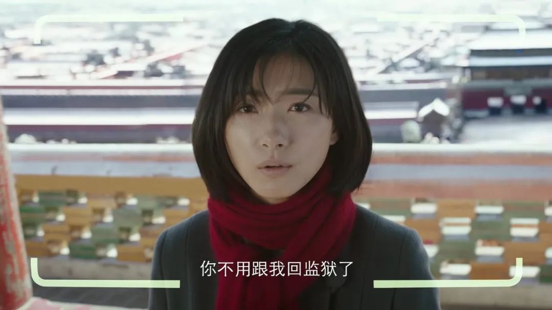 新世界里的相机,新世界照相机