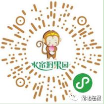 武汉线上买菜,武汉菜场买菜攻略