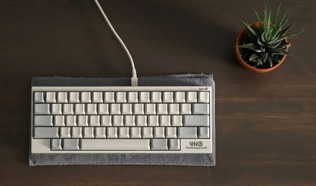 键盘小知识大全,键盘知识讲解与实操视频