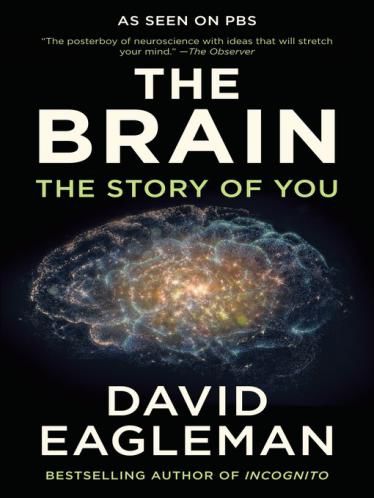 300天了，我们一起关心世界，也关心自己…|远读重洋