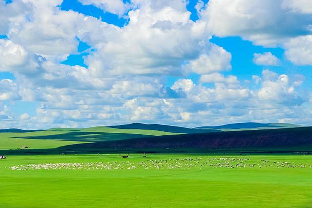 欢迎你来呼伦贝尔大草原,为你而来新疆歌曲拼音
