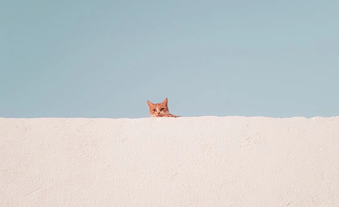 「学习」欢迎来到留学菌的法语小课堂