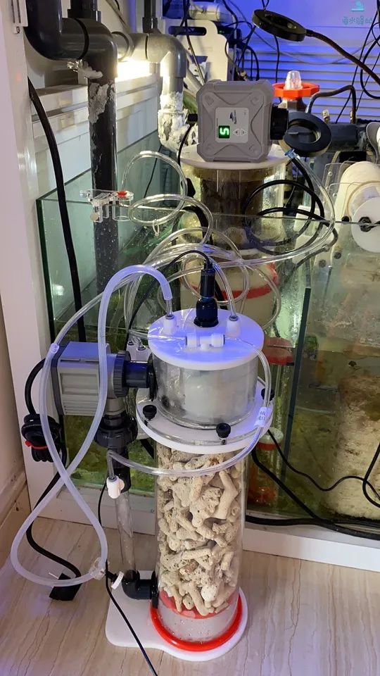 2020款，BM第3代钙反实测