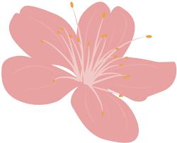 四月校园联谊,四月相聚