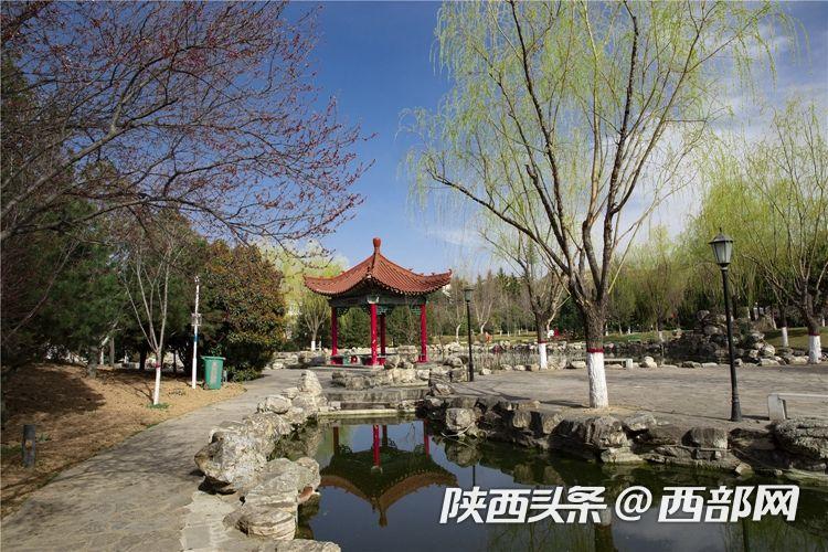 春天里的陕西｜西安思源学院：一起品尝春天的“甜”