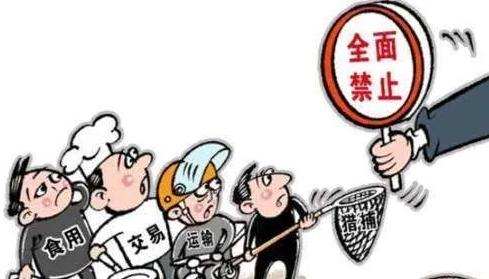 安顺一男子被悬赏5万杀人案,安顺市最新抓人案