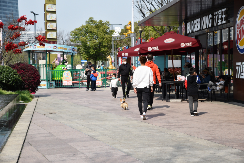 嘉定马陆最新疫情报告,战疫一线日记